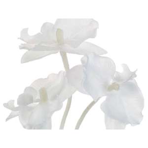 Roślina szt. - gałązka białej orchidei_Aluro